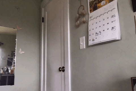 Funny Moving Backgrounds GIFs
