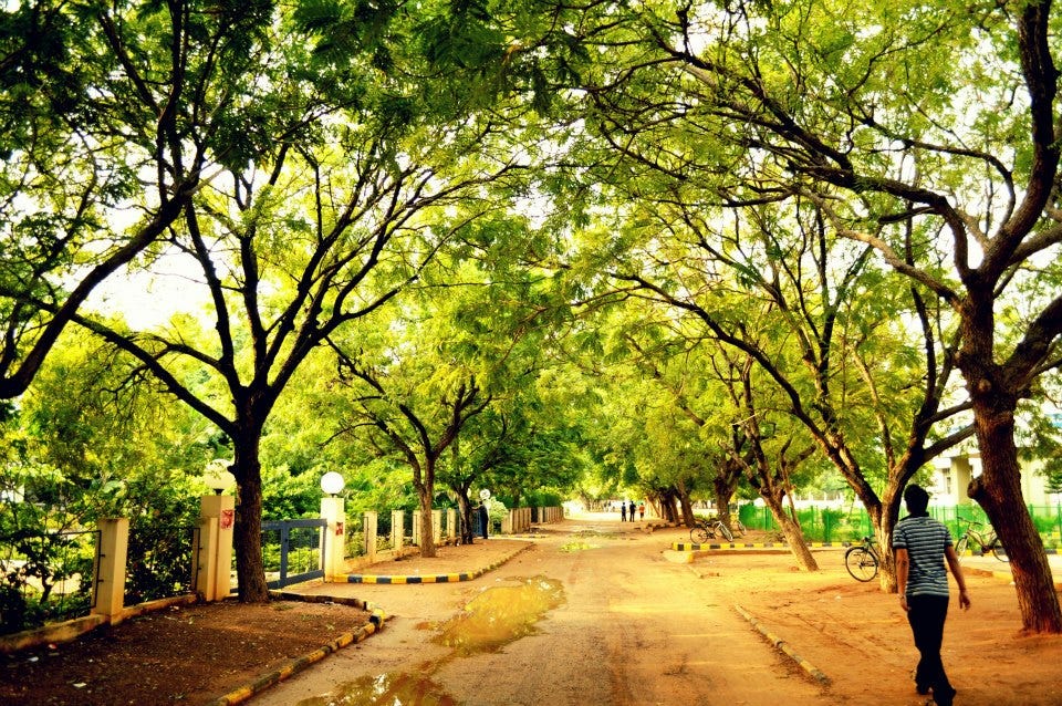 An Ode to NIT Trichy | Abhinaya SB | The Festember Blog