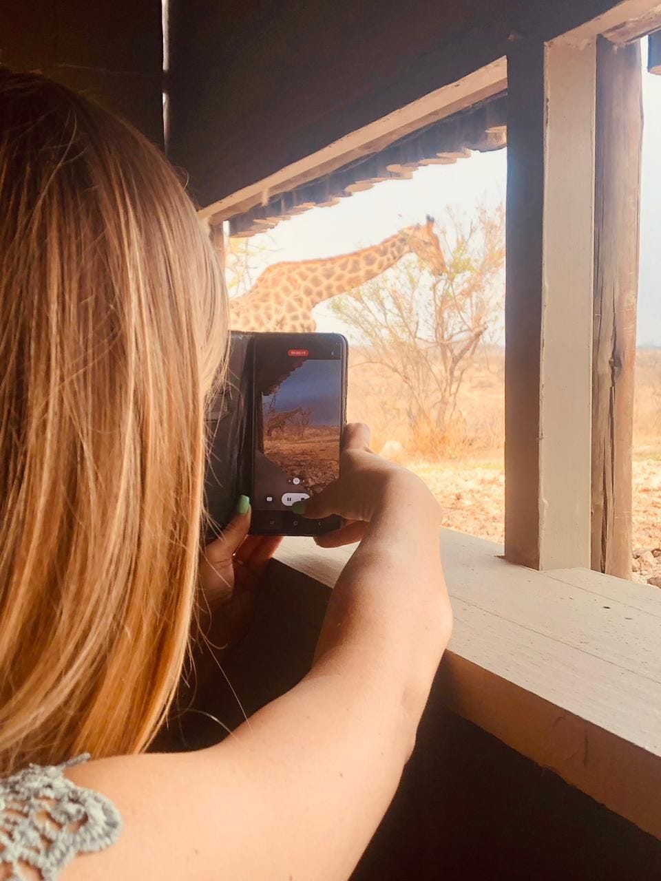 Why Planning a Safari in South Africa Should Start Before You Choose a Lodge