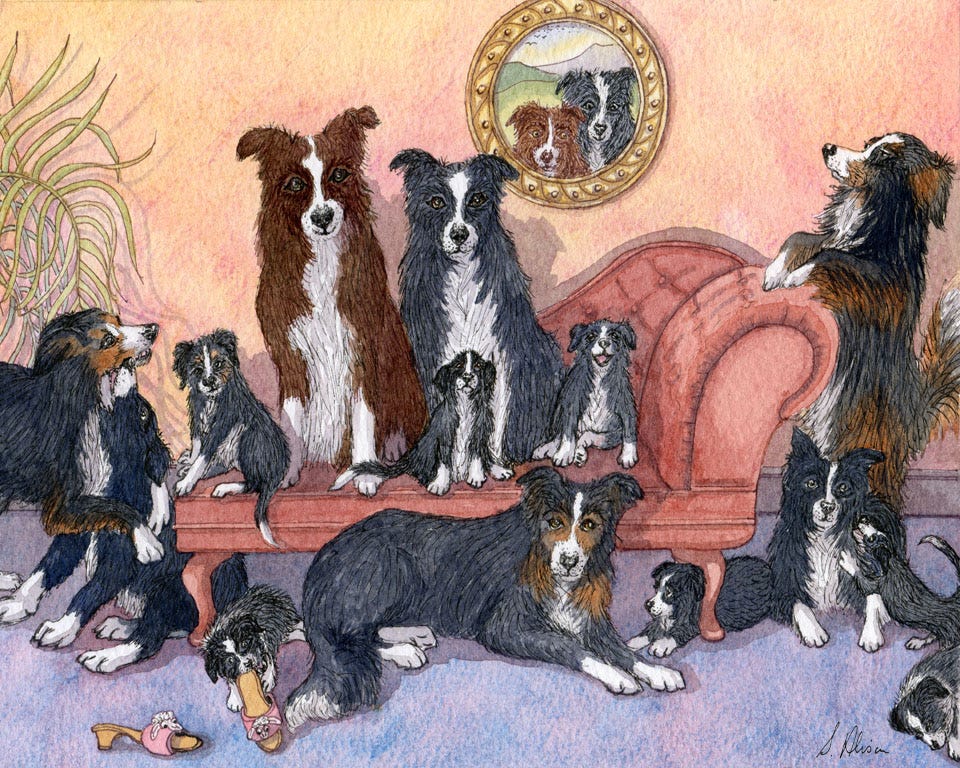‘National Dog Day’ is celebrated on 26th August. The idea behind ...