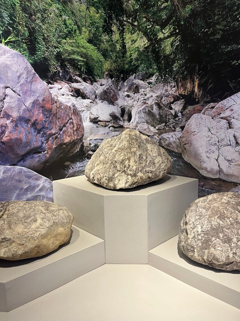 Decoding the Crust: A Field Guide to Rock Identification