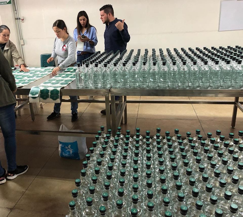 How is Tequila Made? An Insight into Growth and Harvesting of Agave