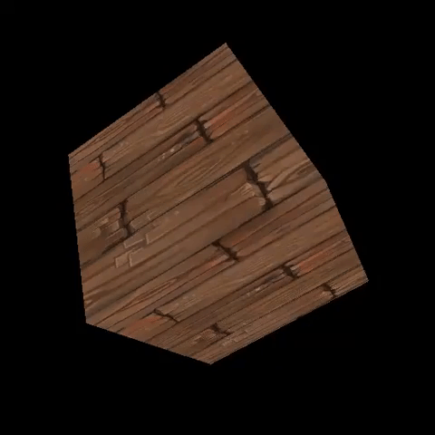 Applying a transform to all vertices prior to projection