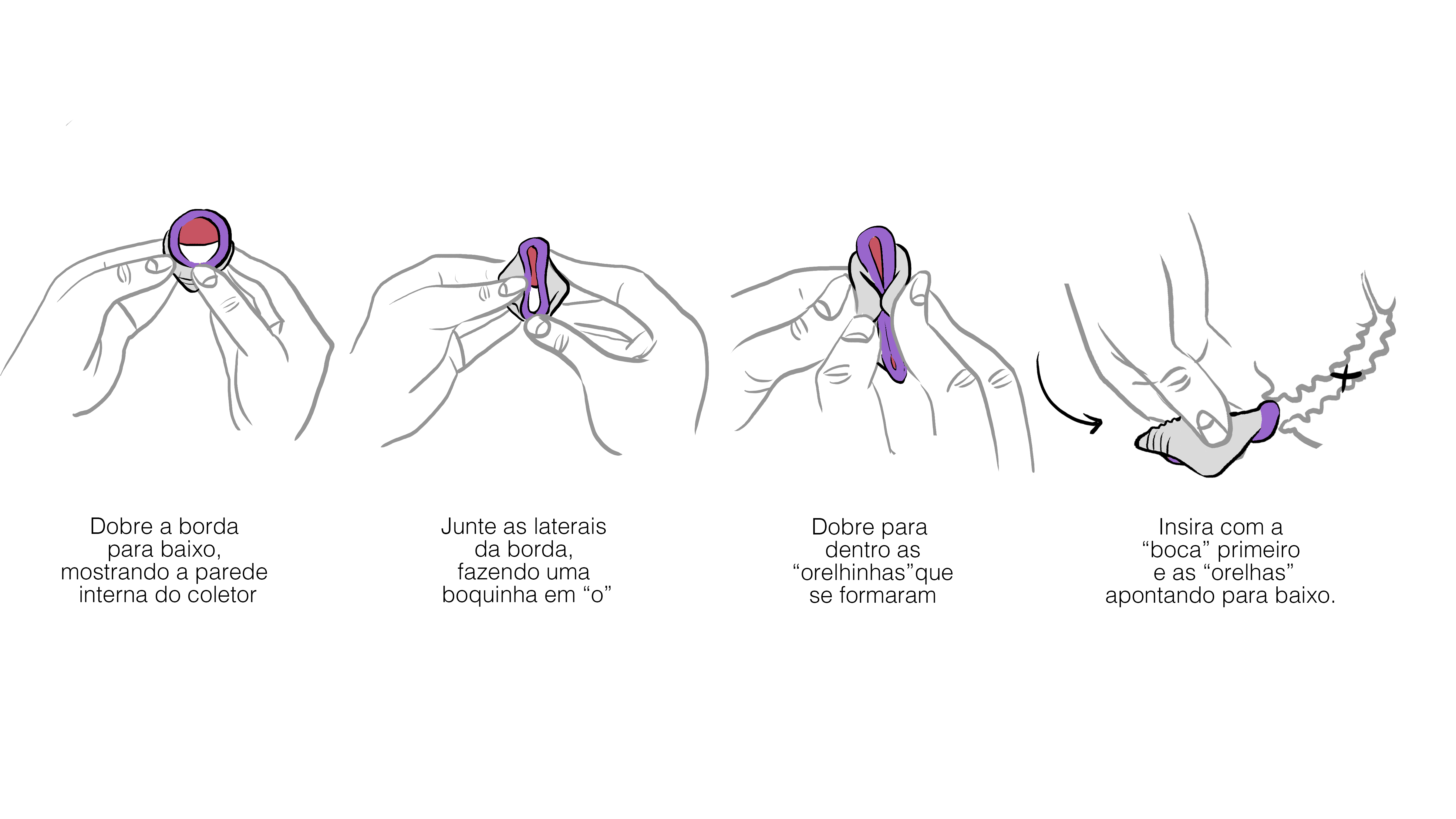 Guia ilustrado do coletor menstrual | by Amanda Talhari | Estúdio Barbatana  | Medium
