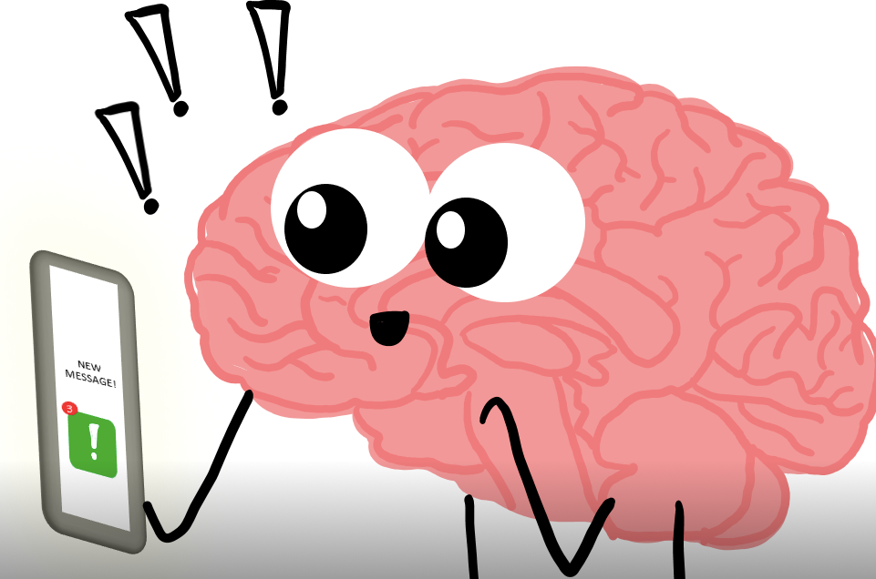 Picture of Dopamine and adaptive memory - ScienceDirect