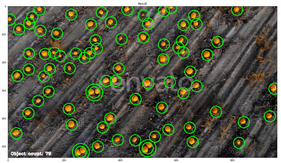 Pumpkin Counter Using Color Segmentation with OpenCV and Python | by ...