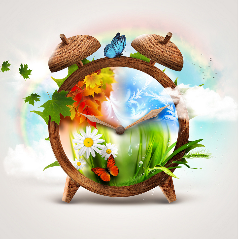 The Cycle of Life Is Closely Tied to The Seasons by Kimberly Fosu