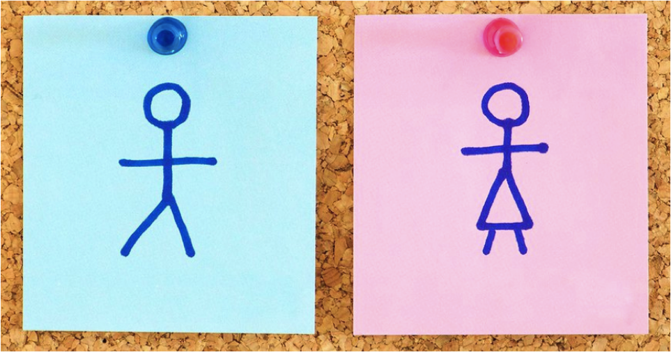 Turkish Women’s Gender Identifications and Effects of the Gender