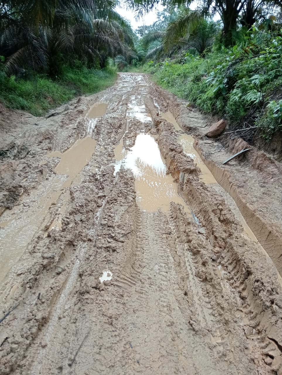 Jadikan Dirimu Donatur Perbaikan Jalan RT 04 Tanjung Buluh
