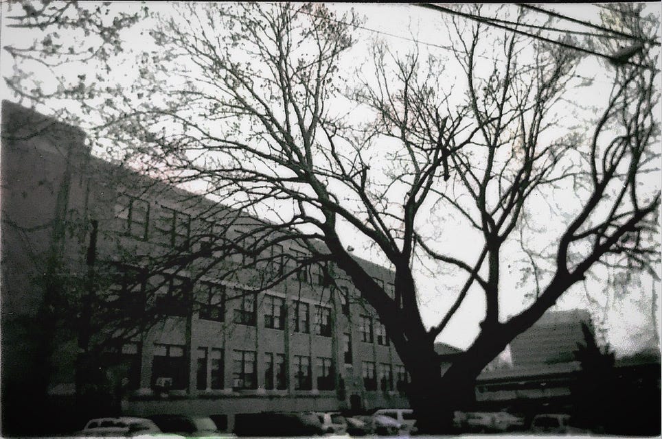 The Alternative Processes: A Glimpse into the Era of Chemical Photography.