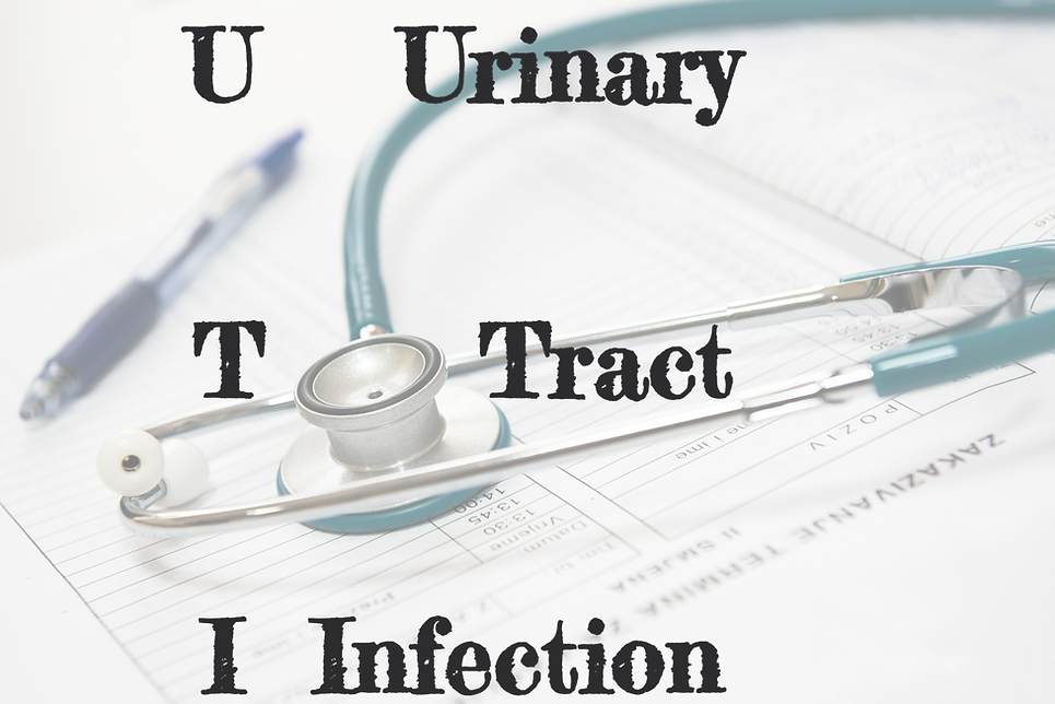 Understanding UTIs Causes, Symptoms, and Treatment by Mukherjee