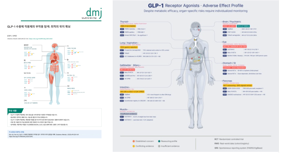 Same Drug, Opposite Signals: Redesigning the GLP-1 Adverse Effect Figure