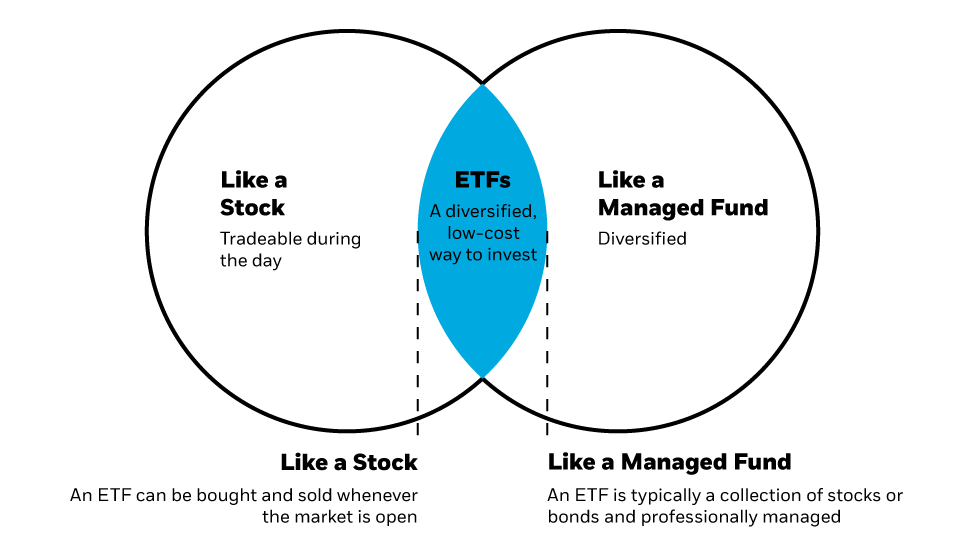 sdg-related-etfs-and-how-sustainability-based-etfs-work-by-alexander