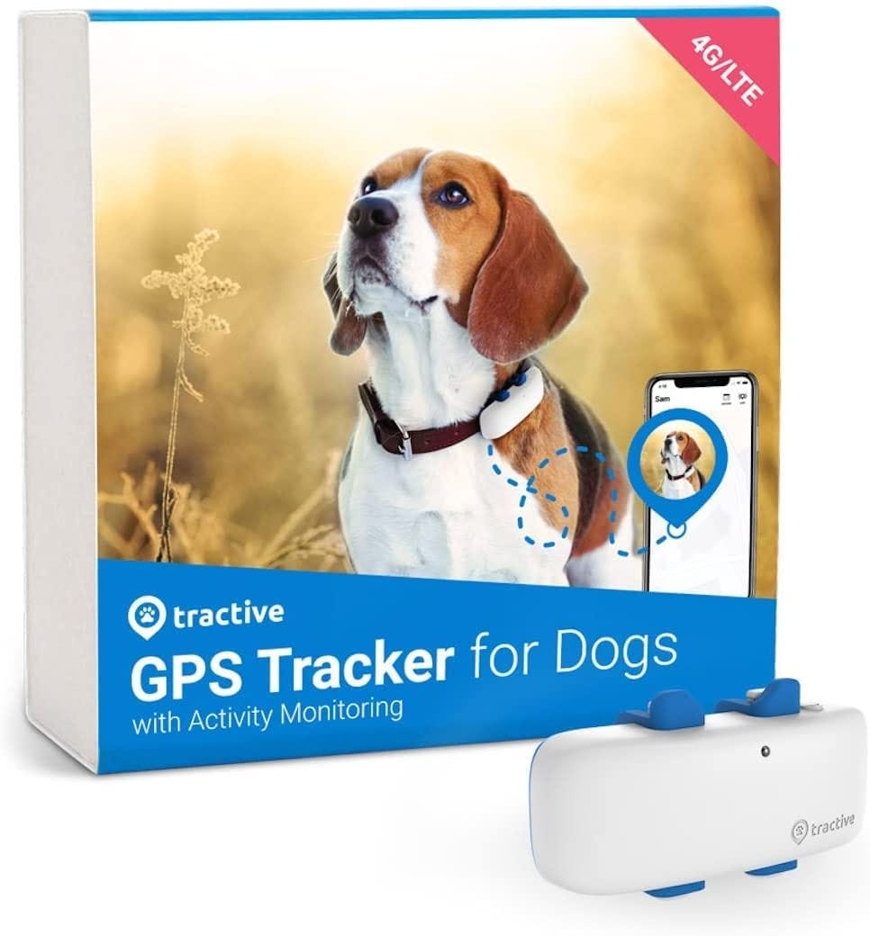 Tractive GPS DOG Tracker Erfahrungen