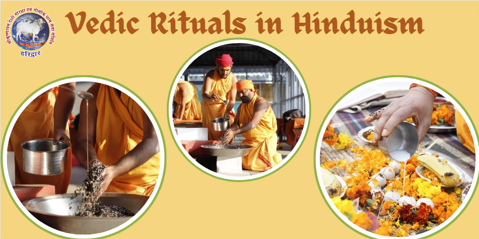 The Significance and Role of Vedic Rituals in Hinduism