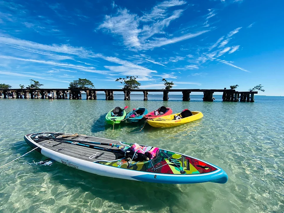 Kayak Rentals Venice Glassbottomrentals Medium