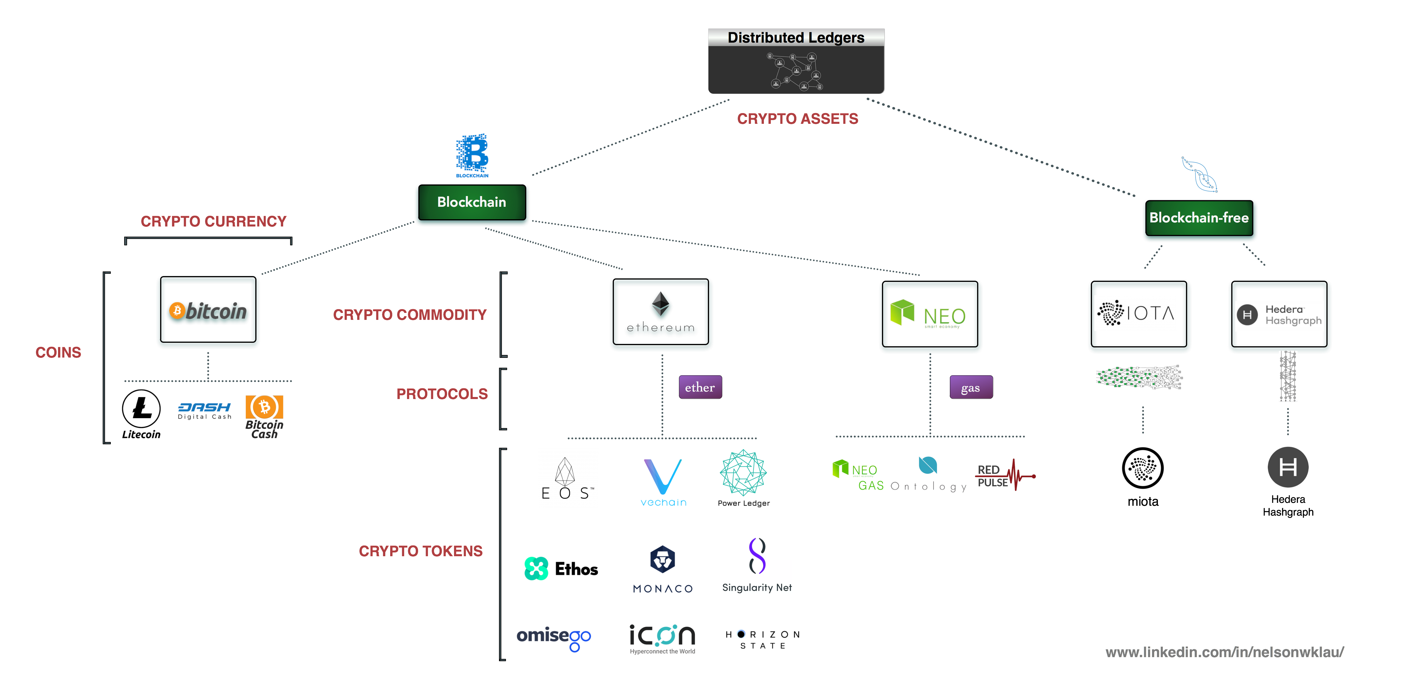 A Coin, a Token, and a Protocol walk into a restaurant… | by Nelson Lau |  Medium