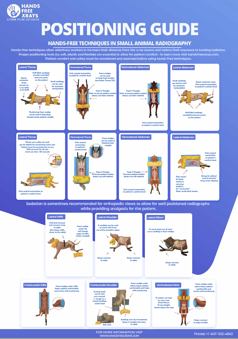 Radiology Positioning Mastering Techniques for Accurate Imaging by