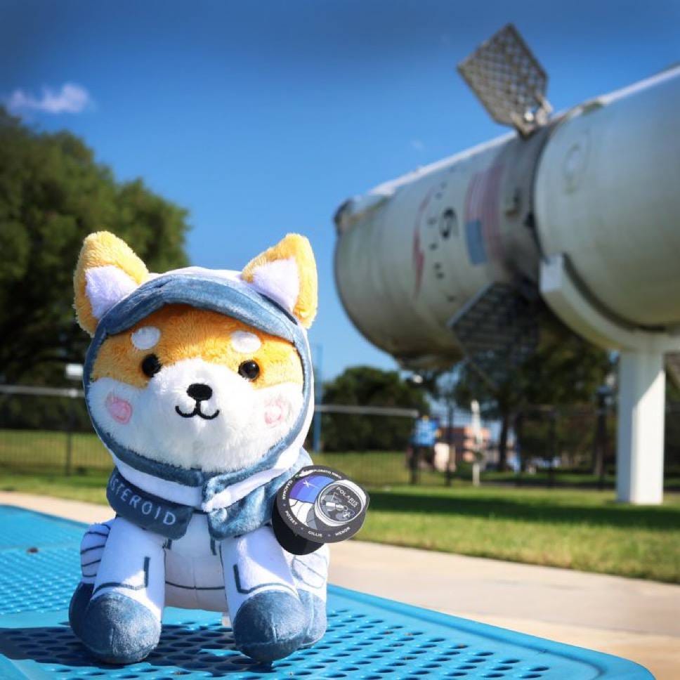 The possibility and function of the Asteroid Shiba cryptocurrency a Mars token? by