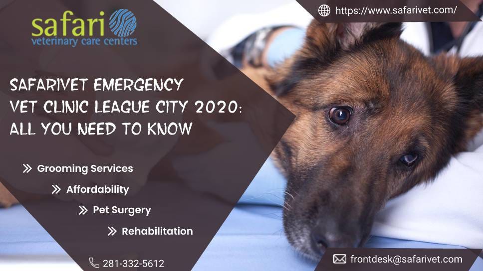 Safarivet Emergency Vet Clinic League City 2020 All You Need to Know