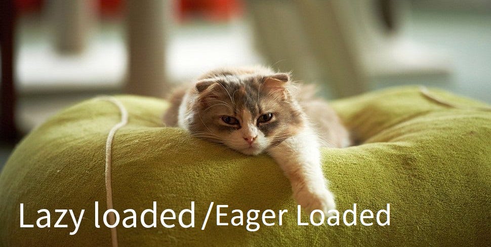 Lazy Loading vs Eager Loading. Merhabalar, bugün ki yazımda sizlere ...