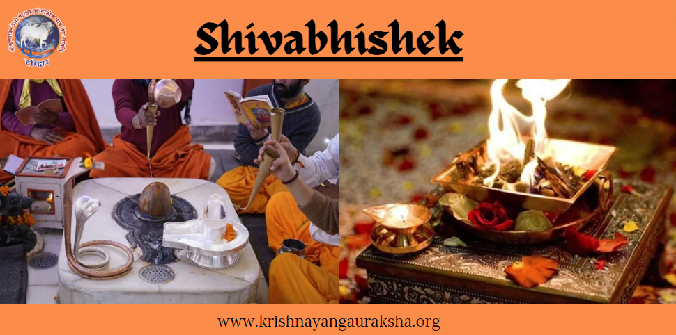 Shivabhishek: Significance, Types, Puja Vidhi & Online Shivabhishek