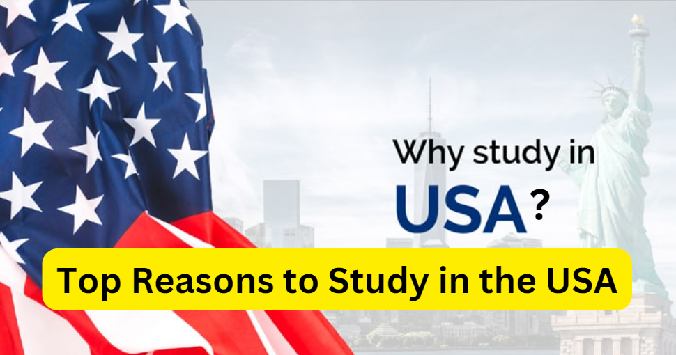 Why International Students To Study In USA? | by Study Upmark | Jul ...