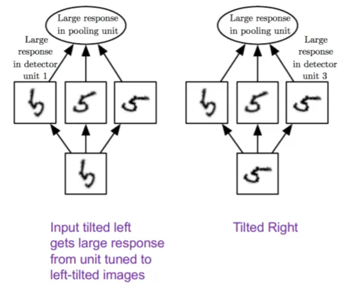 visualize invariance - credit - codicals