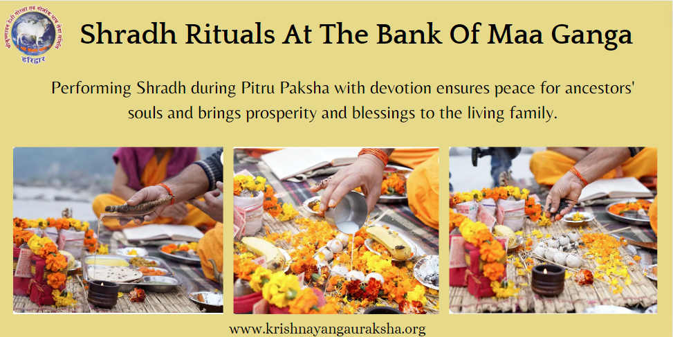 Shradh (Pitru Paksha): Ancestral Blessings, Date, Rituals, and Significance