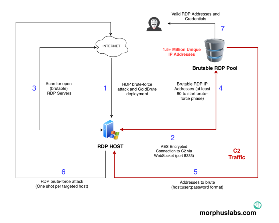 morphuslabs.com