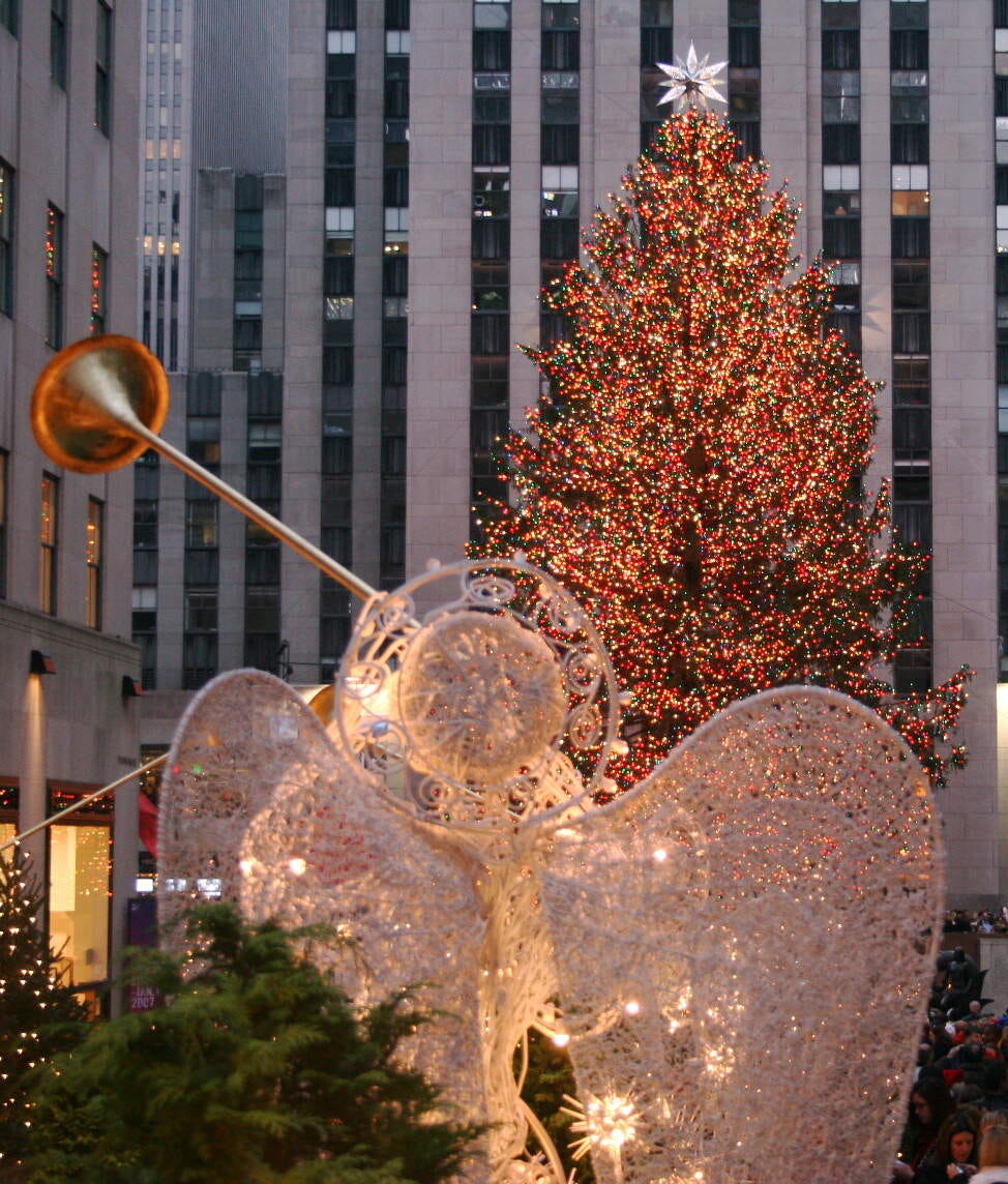 It’s National Take Down the Christmas Tree Day | January 6, 2025 | by ...