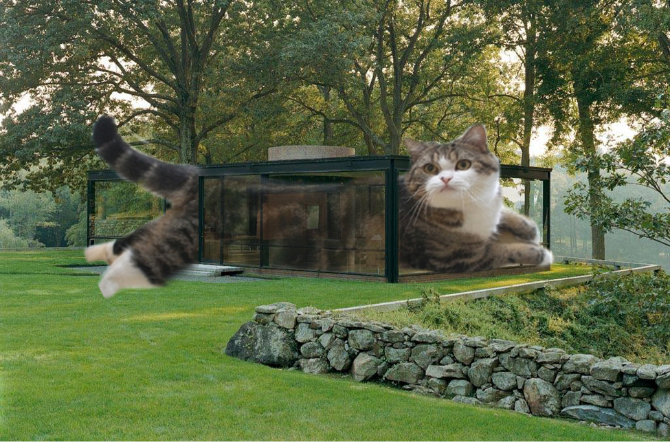 A Meme is Born: The Rise and Fall of the Architecture LOLCat | by WRNS  Studio | Medium