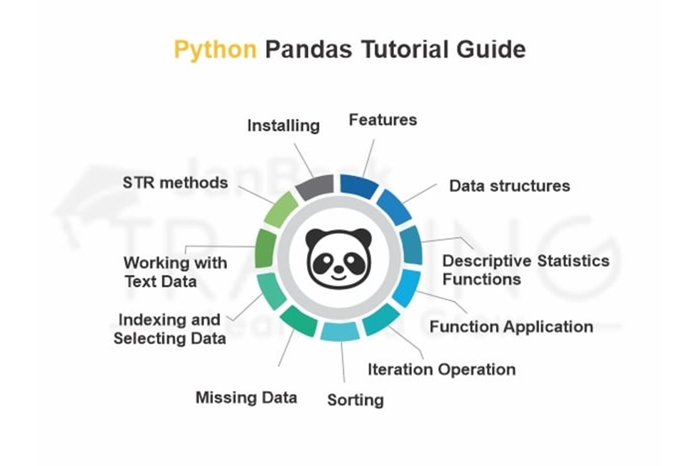 A Beginner’s Guide to Pandas Library: An Introduction | by Bashir ...