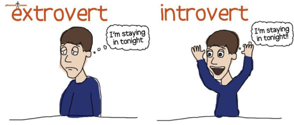 Extravert qualities are regarded highly in