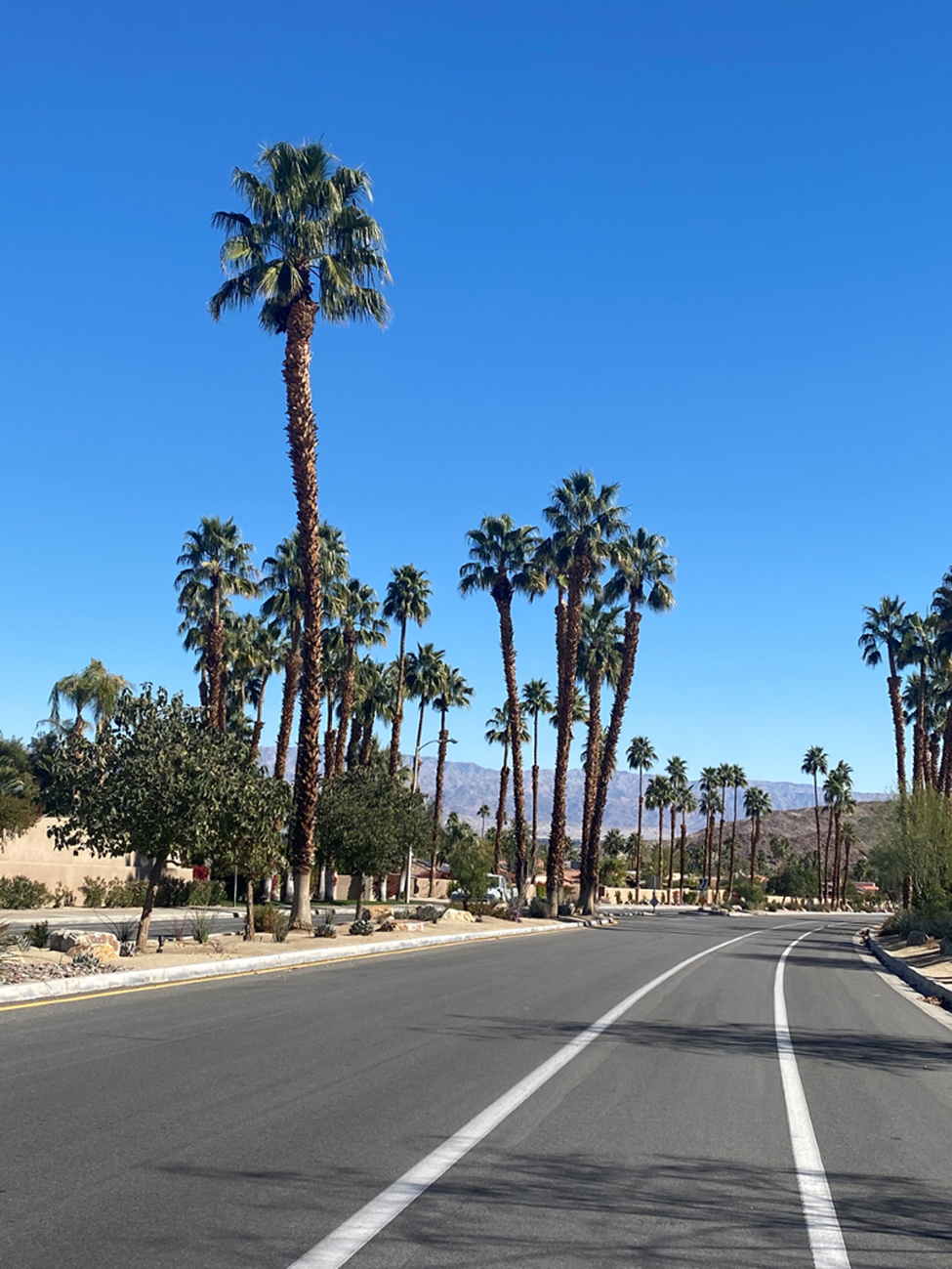 Solo Travel Story #1: Palm Springs, CA