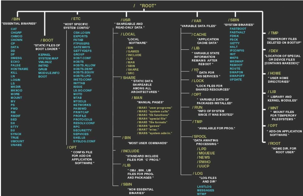 Linux Directory Structure & File System | by Samavia Ibrar | Medium