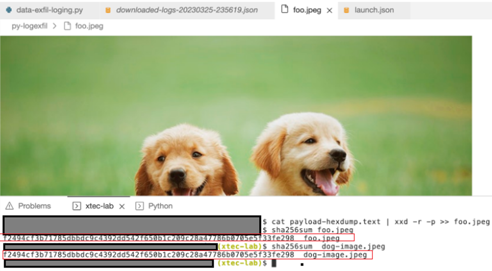 Covert Data Exfil With GCP And Go System Weakness covert-data-exfil-with-gcp-and-go-system-weakness