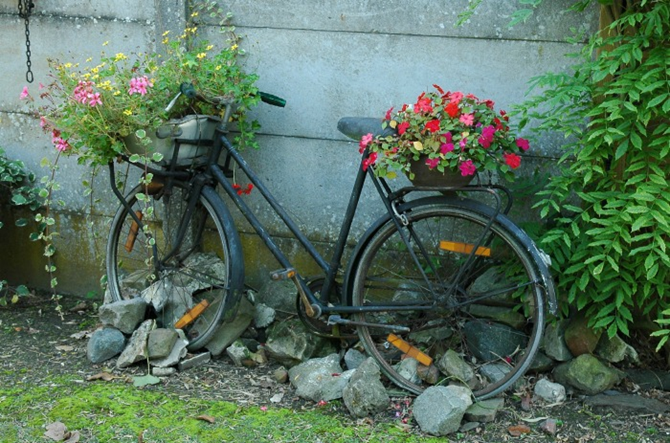 what bicycle is right for me