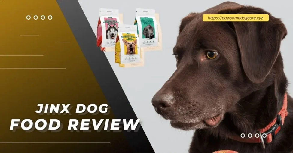 Jinx Dog Food. When It Comes To Choosing The Best Dog… by