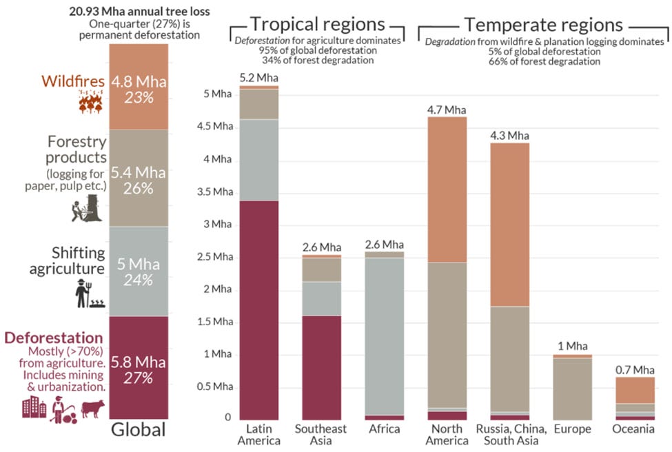 How does deforestation impact the Biodiversity of Tropical Rainforests ...
