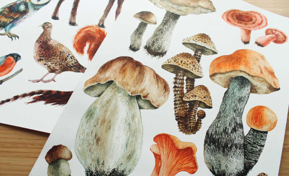 Move Over Flowers: Why Mushrooms Will Be Your New Favorite Watercolor Subject
