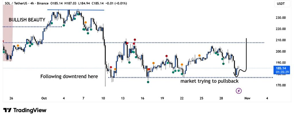 $SOL Holds the Line — As Analysts Predict a Strong Rebound