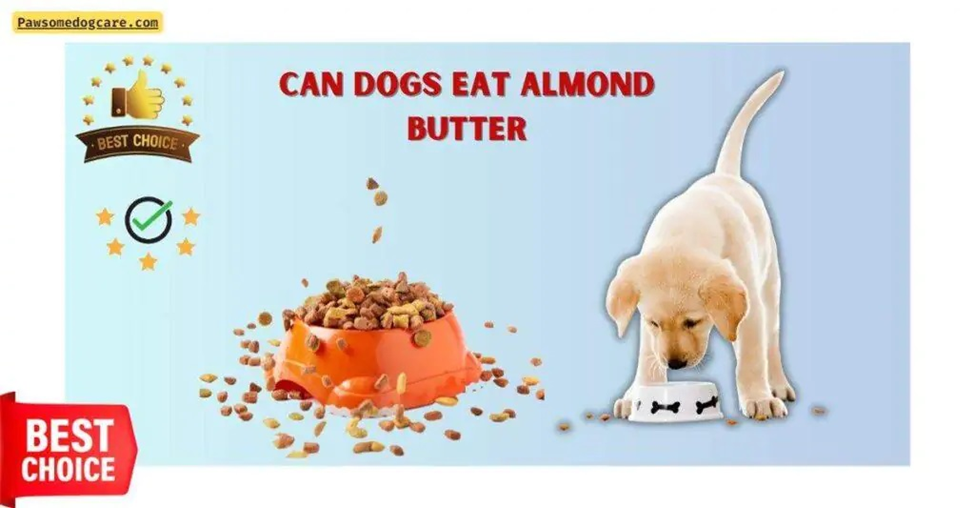 Can Dogs Eat Almond Butter?. When It Comes To Treating Our Beloved