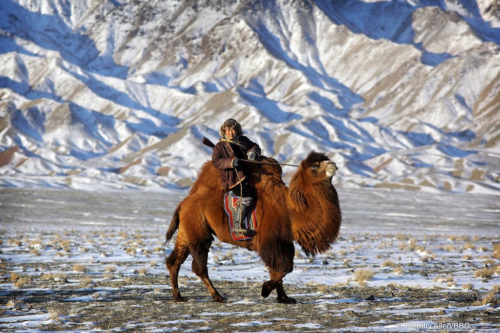Mongolia “The Land of Blue Sky”