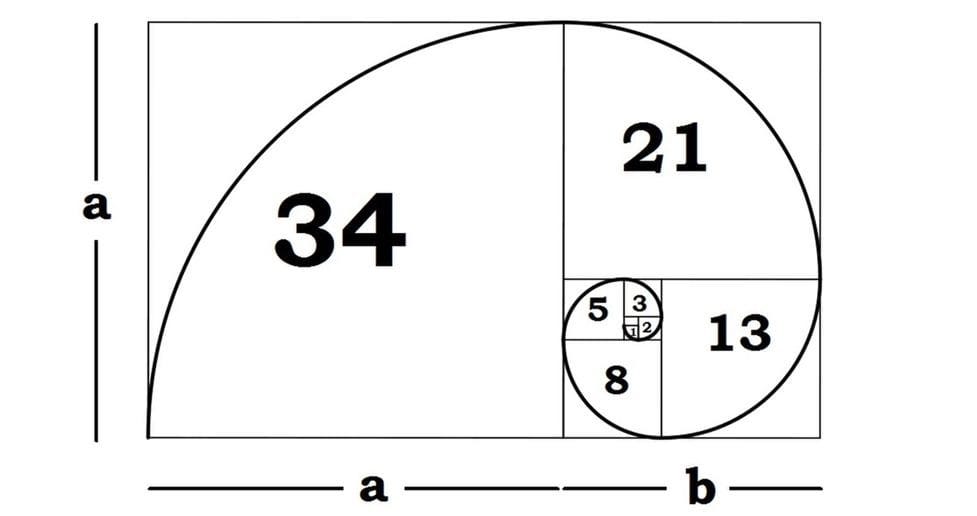 USE THE GOLDEN RATIO AND THE FIBONACCI SEQUENCE TO MAKE A PAINTING (PART 1)  