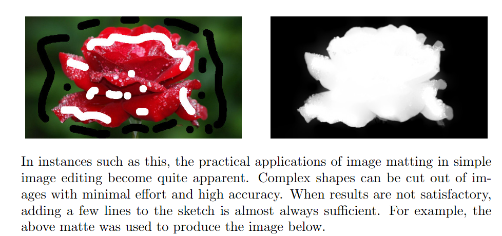 Image Matting and Applications. How and what is image matting, this ...