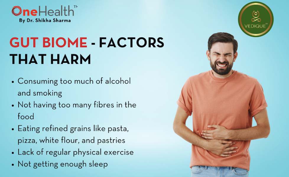 Gut Biome Understand the Important Elements and Advantages