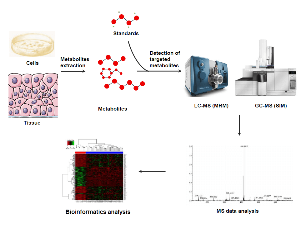 targeted metabolomics