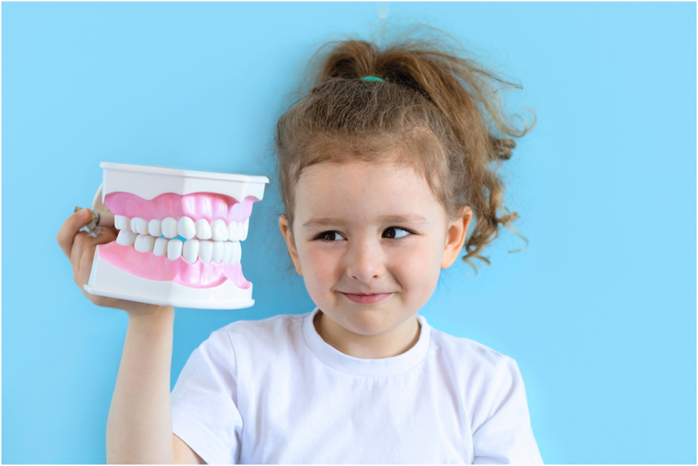 Do I Need to Brush My Teeth Every day? If Yes, Why? Medium