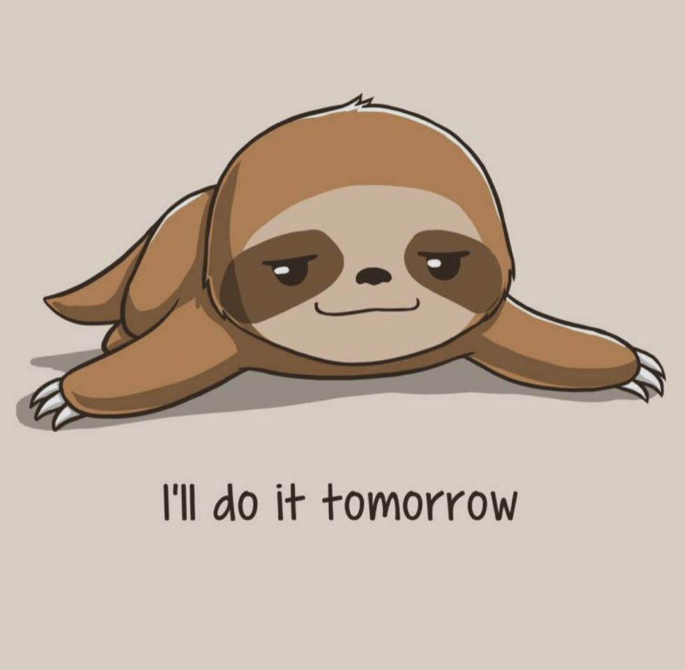 Solving the procrastination puzzle by elif dede medium